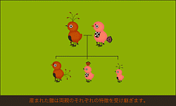 ꡼ No.003Υͥ / ȥꤿ򤽤äȸ֥饦TORINESIAʥȥͥˡס¥ƥȤ򳫻