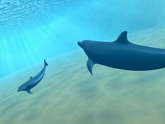 画像ギャラリー No.004のサムネイル画像 / 目指せ賞金100万円。「SEAFARM」,ハイスコアを競うイベント開催