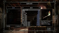 ꡼ No.007 | TGS 2009PlayStation 3о줹뿷WizWizardry 줷µܡפΥץࡼӡǺ