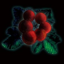 ���������꡼ No.001�Υ���ͥ������ / ��Wizardry ����줷�����µܡס�PlayStation Store������ȯ�䡣�ɲå����ƥ�����Ƥ��ۿ��⥹������