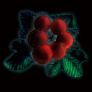 画像ギャラリー No.002のサムネイル画像 / 「Wizardry 囚われし魂の迷宮」,新DLCは職業を変えられるアイテム