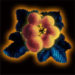 画像ギャラリー No.001のサムネイル画像 / 「Wizardry 囚われし魂の迷宮」追加シナリオ“修道女の赤き影”配信