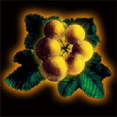 画像ギャラリー No.003のサムネイル画像 / 「Wizardry 囚われし魂の迷宮」追加シナリオ“修道女の赤き影”配信