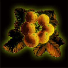 画像ギャラリー No.005のサムネイル画像 / 「Wizardry 囚われし魂の迷宮」追加シナリオ“修道女の赤き影”配信