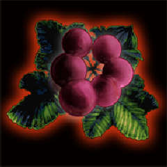 画像ギャラリー No.006のサムネイル画像 / 「Wizardry 囚われし魂の迷宮」追加シナリオ“修道女の赤き影”配信