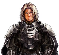 ꡼ No.004Υͥ / ֥ѥҡץץ쥪ץ󥵡ӥ991500곫