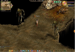 ꡼ No.005 | ֥饦֥ե饴ꥢפθȤǺǿSS