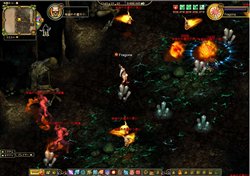 ꡼ No.004 | ֥ե饴ꥢ׳ϻ֤2ơ1800ꥪץƥȼ»