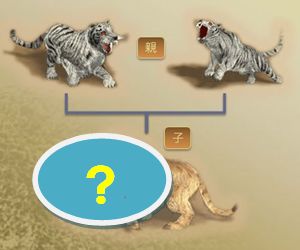 ꡼ No.003Υͥ / ֥ե饴ꥢסOBTǡ夬ޤڥåͻ祷ƥ