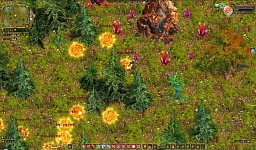 ꡼ No.010 | ֥饦֥ե饴ꥢꥪץ¥ƥȳϡǿSS