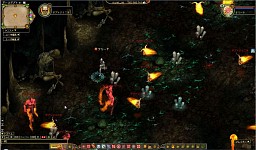 ꡼ No.012 | ֥饦֥ե饴ꥢꥪץ¥ƥȳϡǿSS