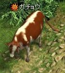 画像ギャラリー No.002のサムネイル画像 / 「フラゴリア」GMも登場した年末年始イベントのレポートを公開