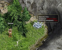 ꡼ No.005 | MAP֥Х󥦥פPvPǤ⤢ꡣ֥饦RPG֥ե饴ꥢפ緿åץǡȺǿ