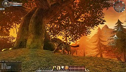 ꡼ No.014Υͥ / ǤζƮ ESTAR Online׺ǿץ쥤ࡼӡ