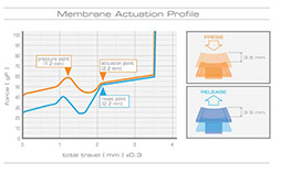 ꡼ No.005Υͥ / Mad Catzȿ®֥¤κѤ𤦥ޡܡɡS.T.R.I.K.E.3פȯɽPCޥбإåɥåȡF.R.E.Q. Mפο