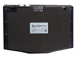 ꡼ No.004Υͥ / Killer Instinct׻ͤXbox OneѥTE2פMad Catzо