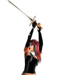 ꡼ No.002 | ˽졣D3ѥ֥å㡼PSPѥ֥פ2009ǯ1119ȯ