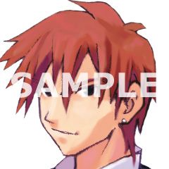 ꡼ No.008Υͥ / ֥顦ԥ奻10ǯǰPSPǤָ3000ߤ