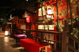 ꡼ No.005Υͥ / ȯΡס򲰡ȵĮɤȥܥ졼