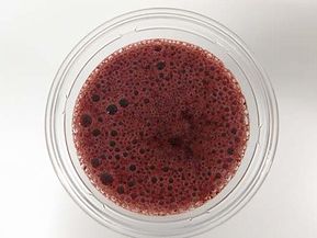 ꡼ No.003Υͥ / ֥ ȥåס֥塼СפȤΥåפǡդɡʡˤΥߥƥ꡼ɥ󥯤䡣ƥCMԸ