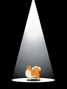 ꡼ No.006 | ֥ ȥåס͸λĤΡȻԤΥɡоʪ֥Υס֥ߥפޤȤƾҲ𤷤ƤޤޤȤá