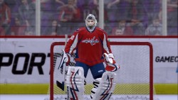 画像ギャラリー No.004のサムネイル画像 / NHL公認アイスホッケーシム「NHL 2K10」,PS3/X360にて本日発売
