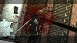 ꡼ No.004Υͥ / ˾ǿĤʪ졤֥ˡ 奿ȡס֥ˡ ץꥫȡפκǿϤ