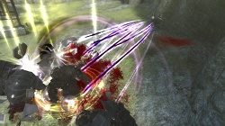 ꡼ No.064Υͥ / ˾ǿĤʪ졤֥ˡ 奿ȡס֥ˡ ץꥫȡפκǿϤ