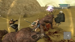 ꡼ No.067Υͥ / ˾ǿĤʪ졤֥ˡ 奿ȡס֥ˡ ץꥫȡפκǿϤ