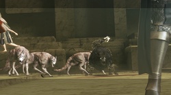 ꡼ No.018Υͥ / ιˬȲ̤γɤǥˡãԤĤΤϡ֥ˡ 奿ȡס֥ˡ ץꥫȡ׺ǿ