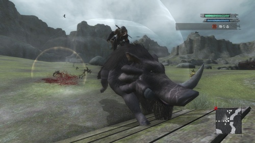 ꡼ No.023Υͥ / ιˬȲ̤γɤǥˡãԤĤΤϡ֥ˡ 奿ȡס֥ˡ ץꥫȡ׺ǿ