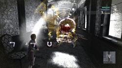 ꡼ No.010 | ֥ˡ 奿ȡס֥ˡ ץꥫȡ׺ǿ󡣷ˡηäȤäƵܥݤ