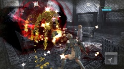 ꡼ No.013 | ֥ˡ 奿ȡס֥ˡ ץꥫȡ׺ǿ󡣷ˡηäȤäƵܥݤ