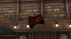 ꡼ No.017 | ֥ˡ 奿ȡס֥ˡ ץꥫȡ׺ǿ󡣷ˡηäȤäƵܥݤ