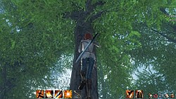 ꡼ No.030 | ԤοArcheAgeפڤˤäФ㤦ڹǹԤ줿CBT3MMORPGեɬΥץ쥤ݡȤǺ