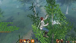 画像ギャラリー No.031のサムネイル画像 / 期待の新作「ArcheAge」は木にだって登れちゃう。韓国で行われたCBT3,生活系MMORPGファン必見のプレイレポートを掲載