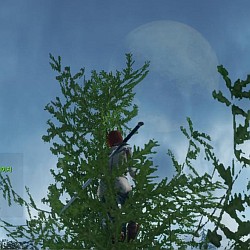 ꡼ No.045 | ԤοArcheAgeפڤˤäФ㤦ڹǹԤ줿CBT3MMORPGեɬΥץ쥤ݡȤǺ