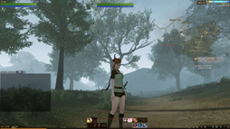 ꡼ No.026 | ޡζ˿뿷MMORPGArcheAgeפδڹ񥵡СƤߤMMORPGΤץ쥤䡼οΤϲäΤ