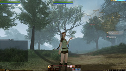 ꡼ No.028 | ޡζ˿뿷MMORPGArcheAgeפδڹ񥵡СƤߤMMORPGΤץ쥤䡼οΤϲäΤ