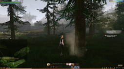 ꡼ No.039 | ޡζ˿뿷MMORPGArcheAgeפδڹ񥵡СƤߤMMORPGΤץ쥤䡼οΤϲäΤ