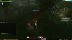 ꡼ No.040 | ޡζ˿뿷MMORPGArcheAgeפδڹ񥵡СƤߤMMORPGΤץ쥤䡼οΤϲäΤ