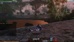 ꡼ No.059 | ޡζ˿뿷MMORPGArcheAgeפδڹ񥵡СƤߤMMORPGΤץ쥤䡼οΤϲäΤ