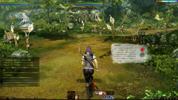 ꡼ No.010 | MMORPGArcheAgeפϡ˽ǤߤȻפ碌벾ץ쥤䡼ï⤬Ԥˤʤäեߥ꡼ƥȤ˻äƤߤ