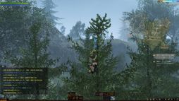 ꡼ No.015 | MMORPGArcheAgeפϡ˽ǤߤȻפ碌벾ץ쥤䡼ï⤬Ԥˤʤäեߥ꡼ƥȤ˻äƤߤ