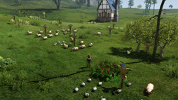 ꡼ No.023 | MMORPGArcheAgeפϡ˽ǤߤȻפ碌벾ץ쥤䡼ï⤬Ԥˤʤäեߥ꡼ƥȤ˻äƤߤ