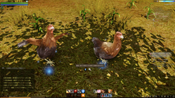 ꡼ No.024 | MMORPGArcheAgeפϡ˽ǤߤȻפ碌벾ץ쥤䡼ï⤬Ԥˤʤäեߥ꡼ƥȤ˻äƤߤ