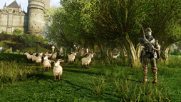 ꡼ No.044 | MMORPGArcheAgeפϡ˽ǤߤȻפ碌벾ץ쥤䡼ï⤬Ԥˤʤäեߥ꡼ƥȤ˻äƤߤ