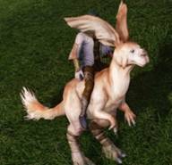 ���������꡼ No.010�Υ���ͥ������ / ��ArcheAge��6��26�����»ܤ�CBT�ˤ��о줹��־��ʪ�����ƥ�פ�Ҳ𡣸�����ȯ���ǰ�ץ쥼��ȥ����ڡ���Ⳬ����