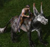 ���������꡼ No.011�Υ���ͥ������ / ��ArcheAge��6��26�����»ܤ�CBT�ˤ��о줹��־��ʪ�����ƥ�פ�Ҳ𡣸�����ȯ���ǰ�ץ쥼��ȥ����ڡ���Ⳬ����