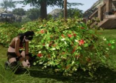 ꡼ No.008Υͥ / ޤȤϤArcheAgeפưˤĤƤξ󤬸ˡܻηȲΤʤǺ򽸤ˡ¿¿